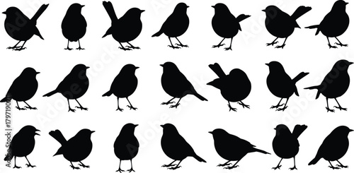 Bird silhouette grid vector, flying and perched poses, minimal black white contrast, posture study, cad drawing flat vector illustration
