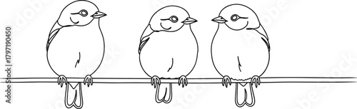 Birds on wire line drawing, minimal vector art, black white contrast, perched bird sketch, cad drawing flat vector illustration