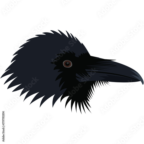 crow beak and head vector.