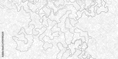 wave lines Topographic map. Seamless vector topographic map background. Abstract Topographic Contour Line Pattern in Black and White,
