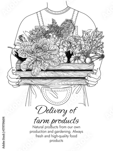 Vector illustration of farm produce delivery. Delivery man holding a wooden crate with vegetables. Banner for a grocery store. Brochure about harvest. Postcard about healthy eating. Organic farming