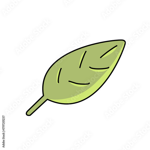 fresh green leaf
