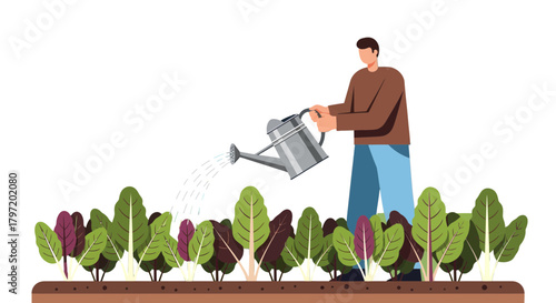 Nurturing Greenery: Person Watering Plants Creating Sustainable Growth Under Darkness