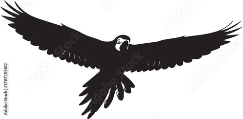 Majestic black bird silhouette soaring through the air isolated on a clean background