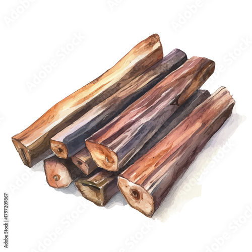 Minimal_Painted_in_watercolor, arjuna bark, hand-drawn_illustration, isolated_on_white, vector_EPS. vectorized