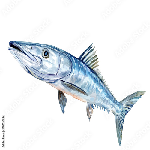 Minimal_Painted_in_watercolor, illustration_of barracuda fish, hand-drawn_illustration, isolated_on_white, vector_EPS. vectorized