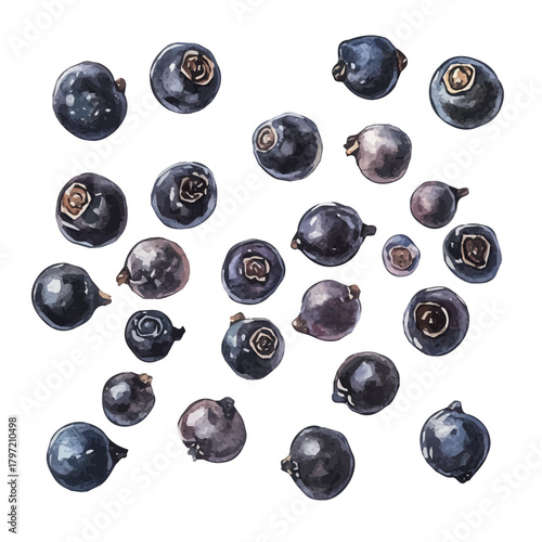 Minimal_Painted_in_watercolor, black_peppercorns, isolated_on_white, vector_EPS. vectorized