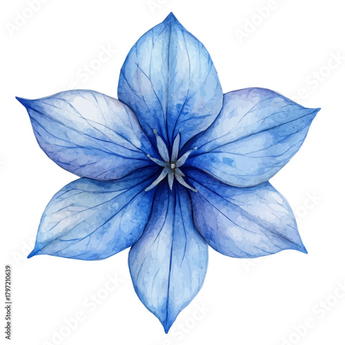 Watercolor wild blue star flower set, softly painted and separated on a white background, is crafted as a minimal yet artistic element for creative designs. EPS format, vectorized