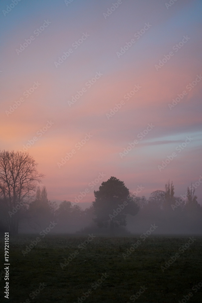 Obraz premium Morgennebel im Herbst in Brandenburg