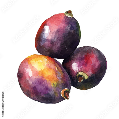 A minimal design, a Watercolor painting of a cupuacu_fruit, delicately hand-painted with artistic brush strokes, white background, vector EPS