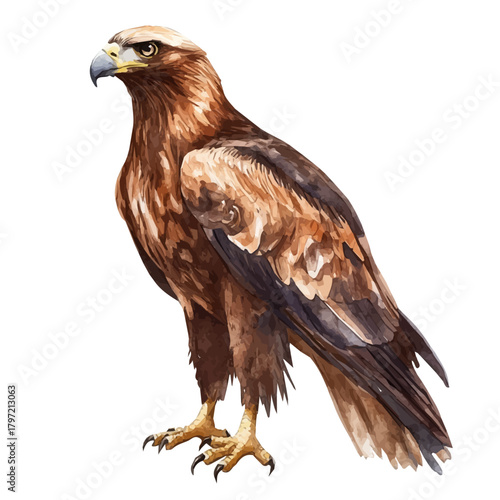 An Imaginary Minimalistic 2D flat icon eagle_bird, modern element in vector and EPS format, isolated on a white background, Simple illustration