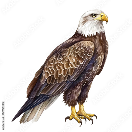 Watercolor type, An Imaginary Minimalistic 2D flat icon eagle_bird, modern element in vector and EPS format, isolated on a white background, Simple illustration