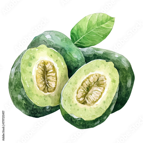 An Imaginary Minimalistic 2D flat icon_feijoa_fruit, modern element in vector and EPS format_isolated on a white 