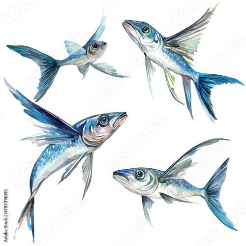 A high-quality watercolor illustration of a flying fish hand-drawn and isolated on a white background, with fine brush details, painting set in watercolor style, EPS format