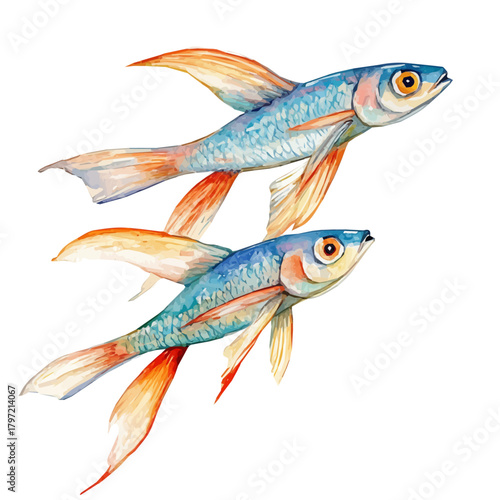 Minimal_Painted_in_watercolor, illustration_of flying fish, hand-drawn_illustration, isolated_on_white, vector_EPS. vectorized