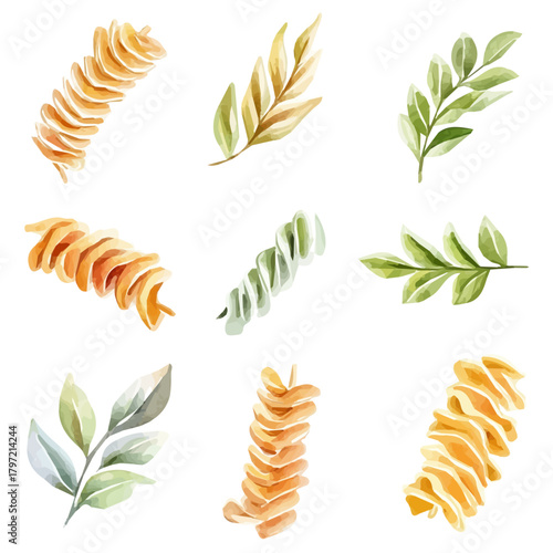 Vector Minimal yet artistic elements for creative designs. hand-drawn paint, A beautiful painting of a fusilli pasta, EPS format, isolated on a white background, watercolor illustration
