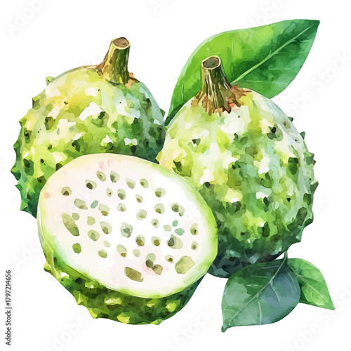 Watercolor type, An Imaginary Minimalistic 2D flat icon gokshura fruit, modern element in vector and EPS format, isolated on a white background, Simple illustration