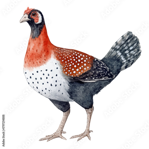 Watercolor type, An Imaginary Minimalistic 2D flat icon guinea fowl, modern element in vector and EPS format, isolated on a white background, Simple illustration