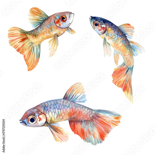 Watercolor type, An Imaginary Minimalistic 2D flat icon guppy fish, modern element in vector and EPS format, isolated on a white background, Simple illustration