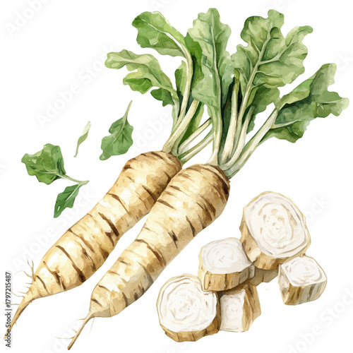 An Imaginary Minimalistic 2D flat icon horseradish, modern element in vector and EPS format, isolated on a white background, Simple illustration