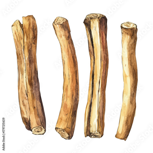 An Imaginary Minimalistic 2D flat icon Indian sarsaparilla root, modern element in vector and EPS format, isolated on a white background, Simple illustration