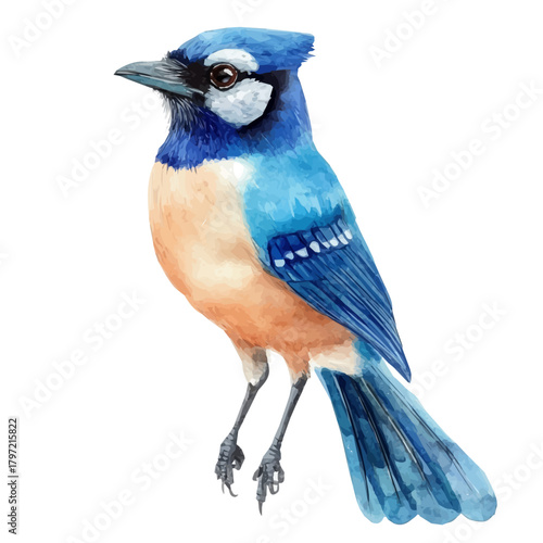 An Imaginary Minimalistic 2D flat icon jay bird, modern element in vector and EPS format, isolated on a white background, Simple illustration