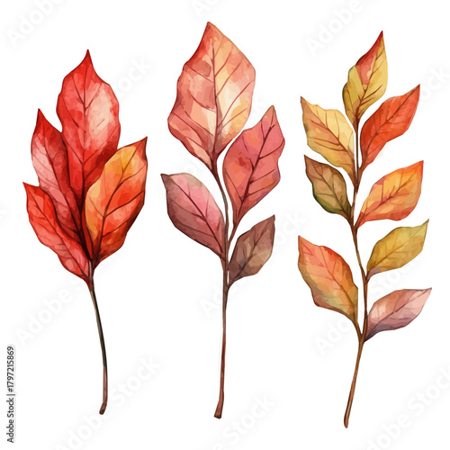 An Imaginary Minimalistic 2D flat icon kalmegh leaves, modern element in vector and EPS format, isolated on a white background, Simple illustration