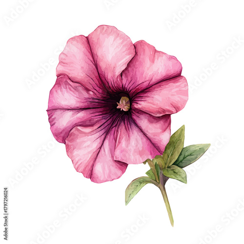 An Imaginary Minimalistic 2D flat icon petunia flower, modern element in vector and EPS format, isolated on a white background, Simple illustration
