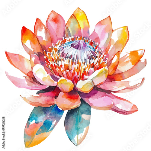 A hand-drawn paint, a Simple Illustration, A beautiful painting of protea flower, EPS format, isolated on a white background, with minimal yet artistic elements for creative designs