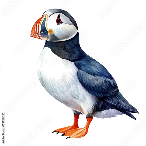 An Imaginary Minimalistic 2D flat icon puffin bird, modern element in vector and EPS format, isolated on a white background, Simple illustration