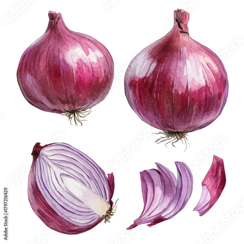 An Imaginary Minimalistic 2D flat icon red onion, modern element in vector and EPS format, isolated on a white background, Simple illustration