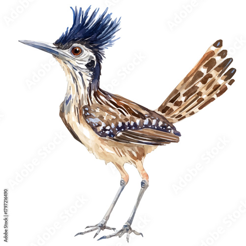 An Imaginary Minimalistic 2D flat icon roadrunner bird, modern element in vector and EPS format, isolated on a white background, Simple illustration