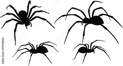 Realistic spider silhouette collection, black insect vector illustration with detailed legs and body design for Halloween, web, and nature art