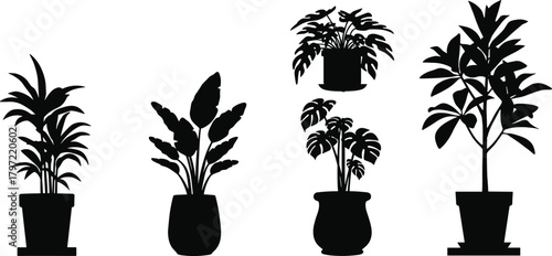 Black and white silhouette of indoor potted houseplants, minimalist botanical vector art, modern home decor, tropical leaf design illustration