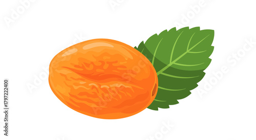 Vibrant Apricot Illustration Beside a Lush Green Leaf Presented on a Black Background