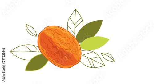 Vibrant Apricot Depicted With Artistic Leaves, Minimalist Style on Black Background