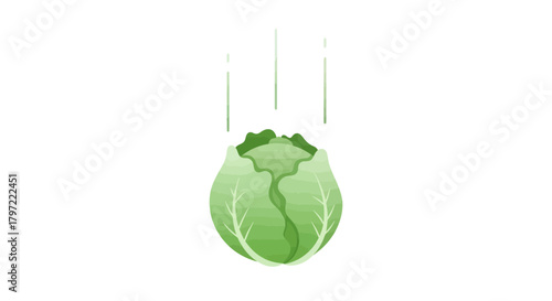 Vibrant Cabbage Emerging From Darkness, Pure Graphic Isolated On Black Backdrop
