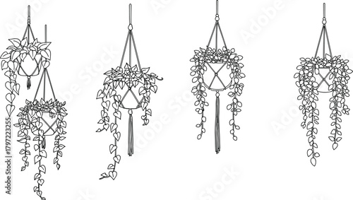 Minimalist hanging houseplants line art collection, modern macrame pot illustration, black and white botanical design for home decor prints