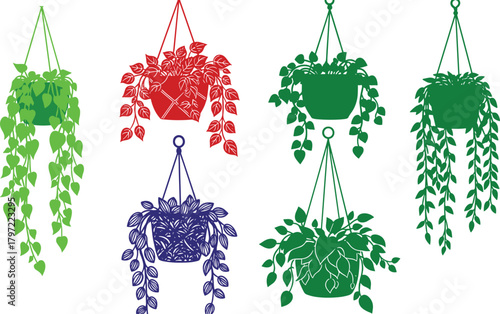 Colorful hanging houseplants set in macrame pots, red green blue plant illustrations, modern botanical wall art, boho home decor design