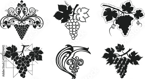 Elegant black and white grapevine vector set with vintage, modern, and ornamental grape bunch designs for wine and decoration