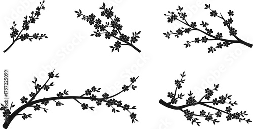 Set of beautiful cherry blossom branch silhouettes, floral vector design with blooming sakura flowers and leaves for decorative art