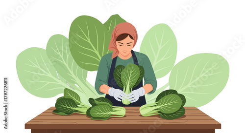 Woman Expertly Arranges Fresh Bok Choy Harvested On A Wooden Table Artwork