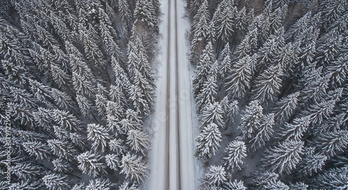 Aerial Winter Road Cutting Through Snowy Pine Forest with Soft Morning Light, Peaceful Frozen Landscape and Serene Nature Atmosphere Perfect for Winter Travel, Scenic Backgrounds and Seasonal Content
