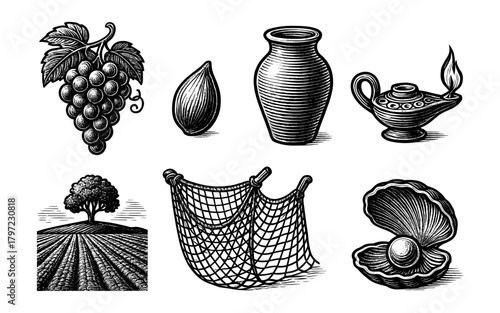 Vintage botanical and nautical black and white engravings with tree, grapes, and shell