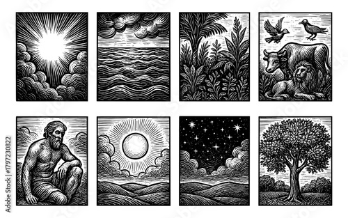 Detailed woodcut style nature scenes: sun, stars, animals, and landscapes