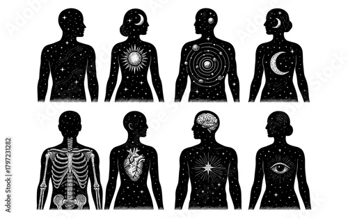 Celestial human anatomy with cosmic illustrations in silhouette style
