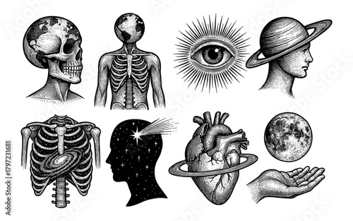 Vintage engravings of cosmic anatomy with celestial elements
