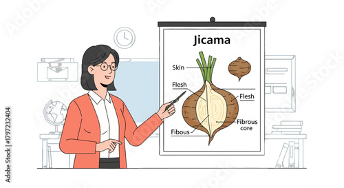 Woman Presenting Jicama Anatomy On Diagram, Vegetable Scientific Illustration in Classroom