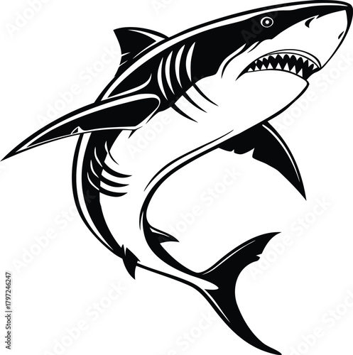 Fierce great white shark illustration with sharp teeth and powerful fins in dynamic pose