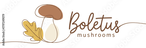 Bolete mushroom logo design continuous line art with oak leaf vector illustration for branding and packagin